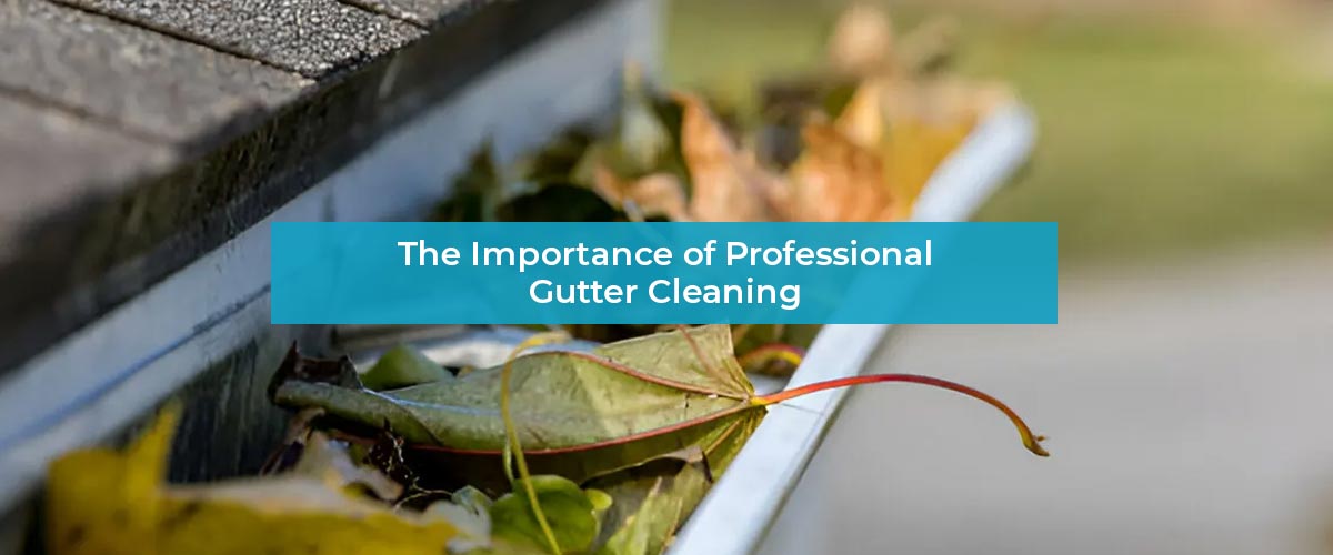 Importance of Professional Gutter Cleaning