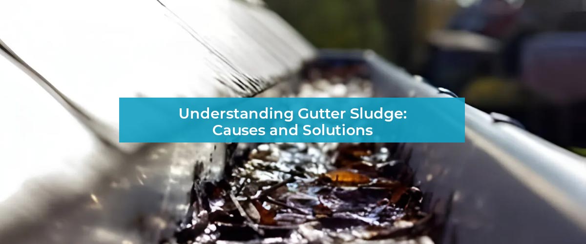 Understanding Gutter Sludge