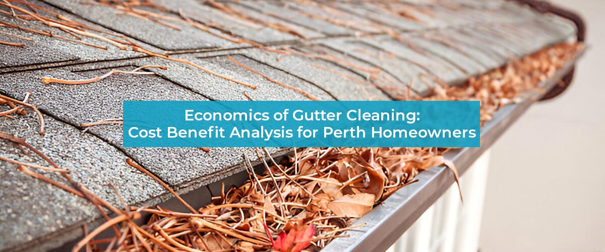 Economics of Gutter Cleaning